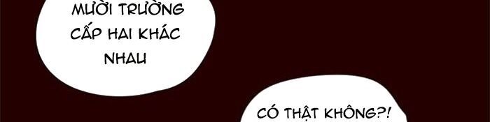 Hóa Thân Thành Mèo Chap 36 - Next Chap 37