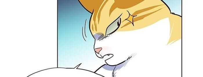 Hóa Thân Thành Mèo Chap 36 - Next Chap 37