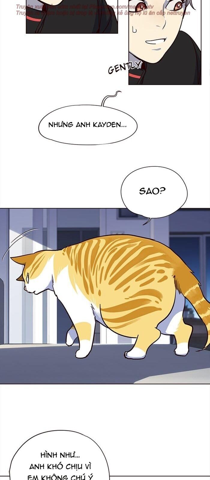 Hóa Thân Thành Mèo Chap 36 - Next Chap 37