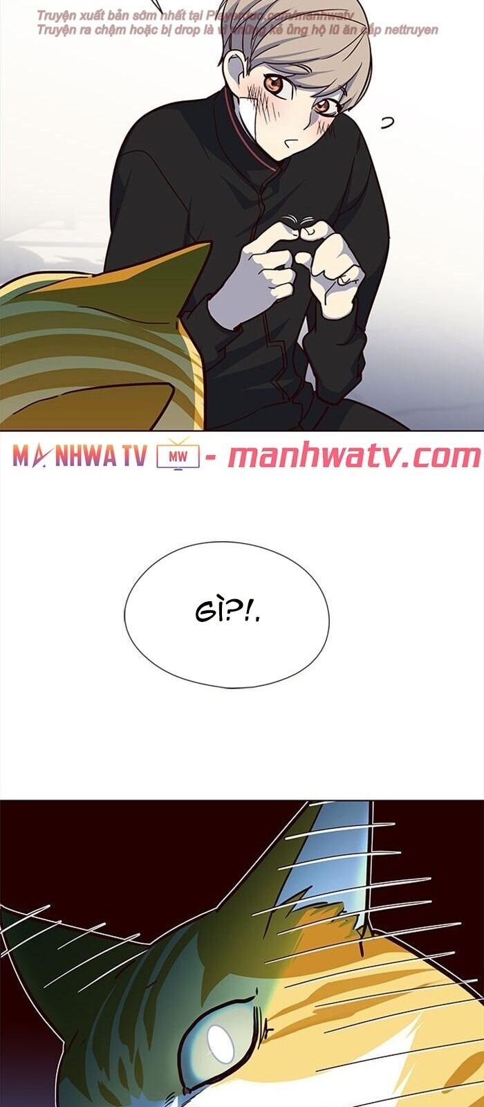 Hóa Thân Thành Mèo Chap 36 - Next Chap 37