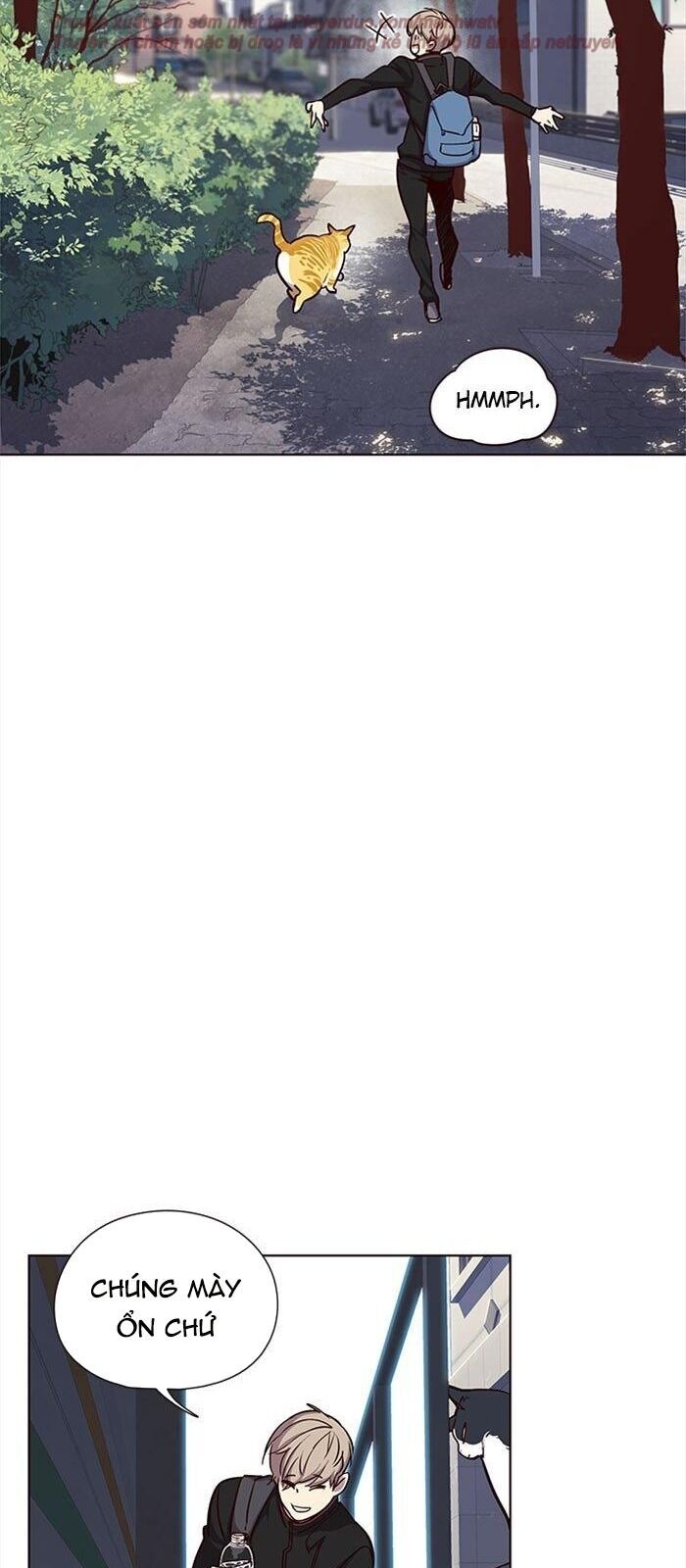 Hóa Thân Thành Mèo Chap 36 - Next Chap 37