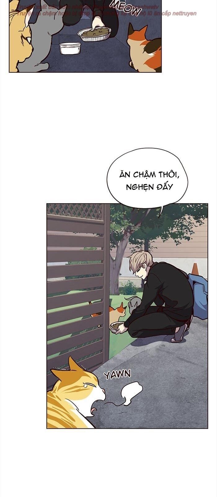 Hóa Thân Thành Mèo Chap 36 - Next Chap 37