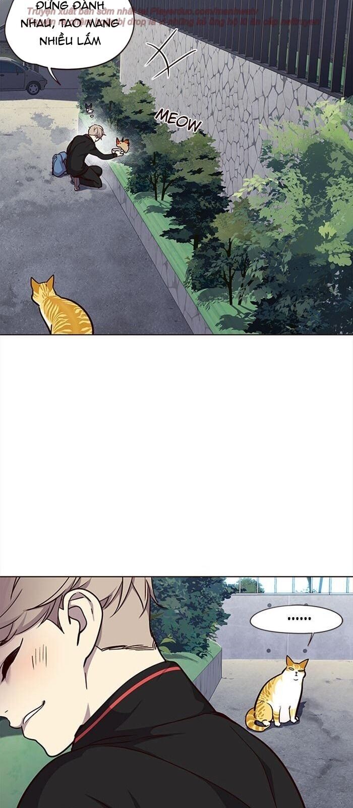 Hóa Thân Thành Mèo Chap 36 - Next Chap 37