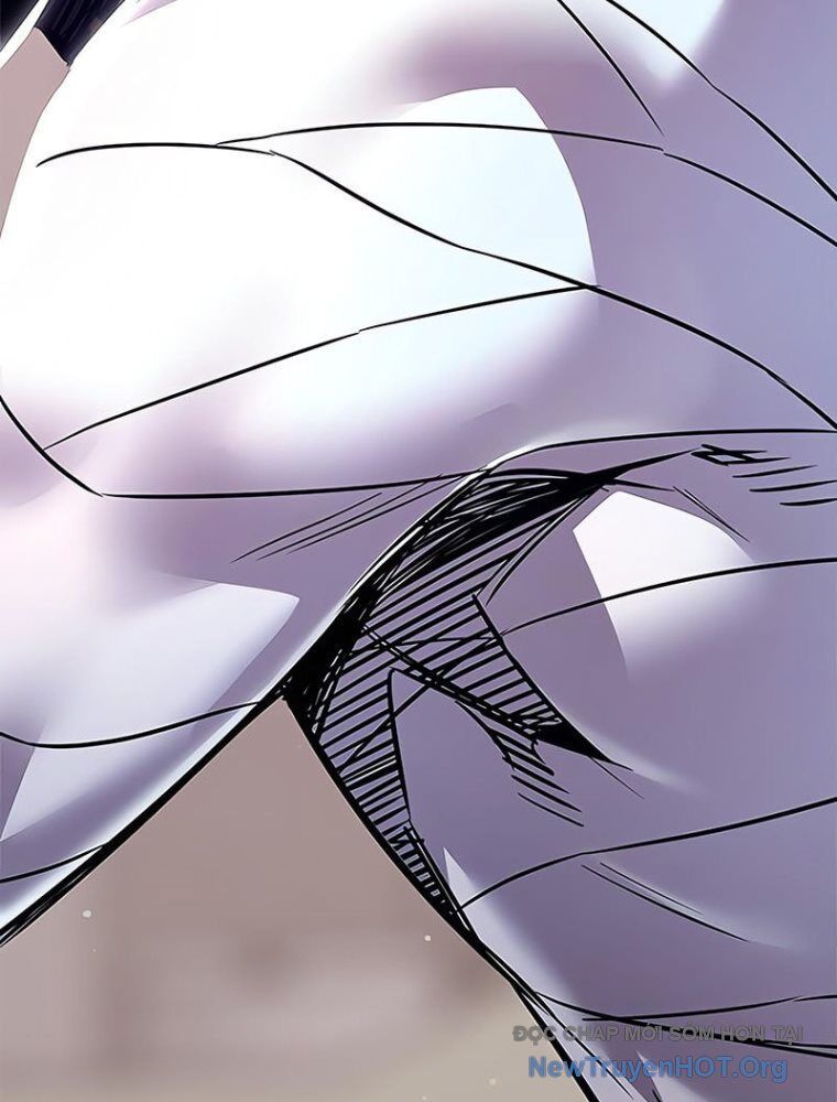 Hóa Thân Thành Mèo Chap 362 - Next Chap 363