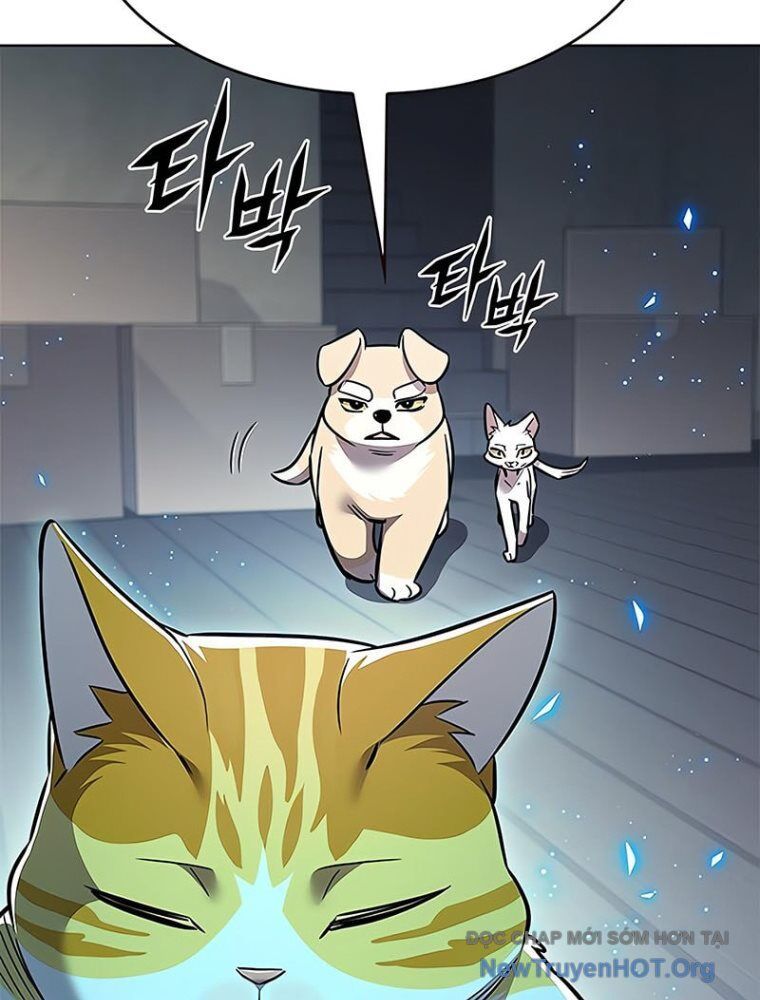 Hóa Thân Thành Mèo Chap 362 - Next Chap 363