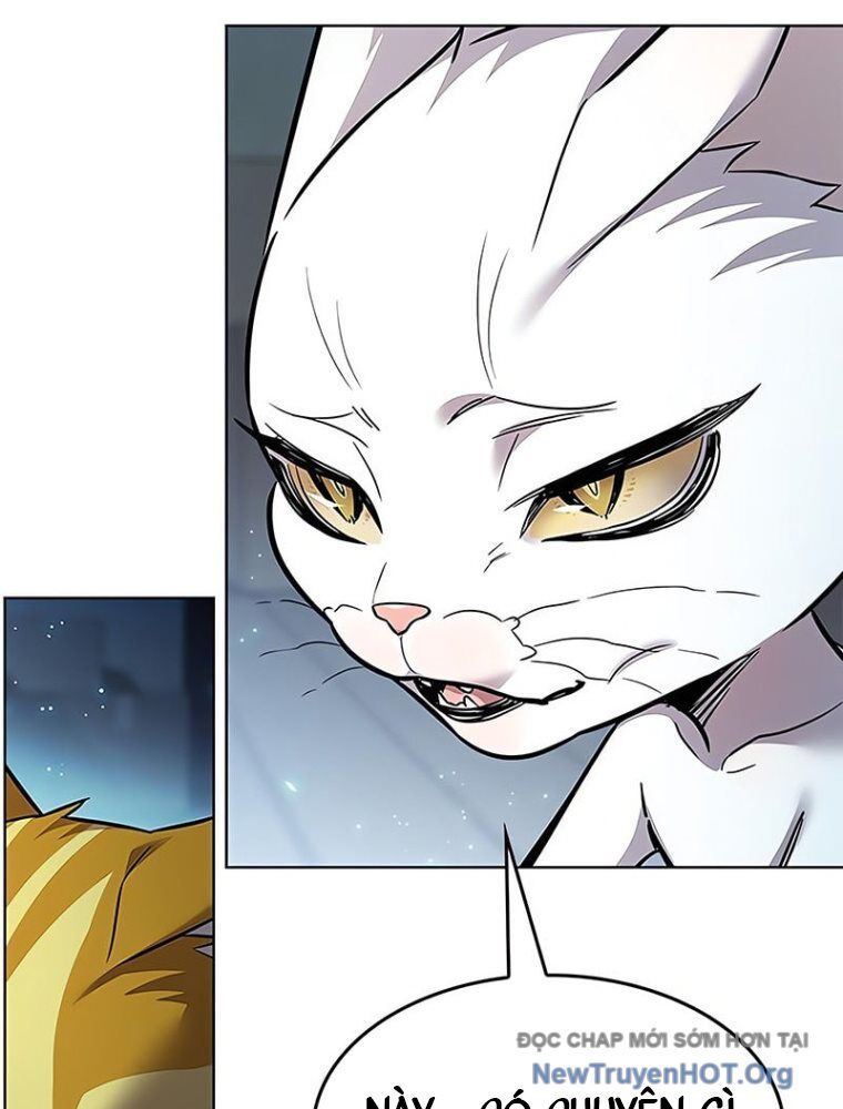 Hóa Thân Thành Mèo Chap 362 - Next Chap 363