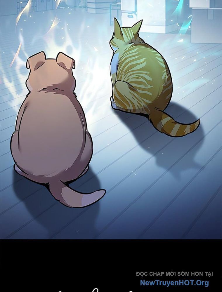 Hóa Thân Thành Mèo Chap 362 - Next Chap 363