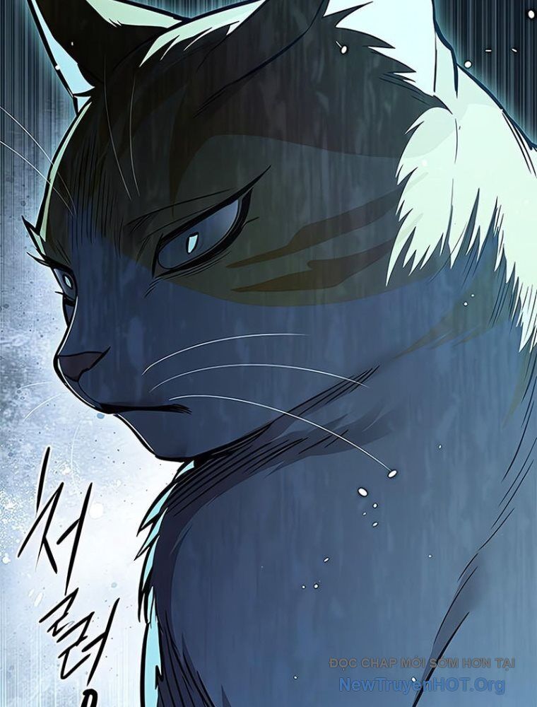 Hóa Thân Thành Mèo Chap 362 - Next Chap 363