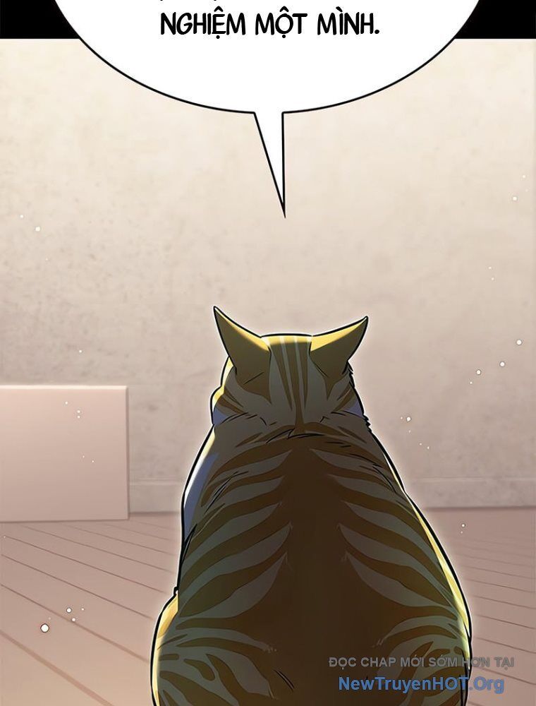 Hóa Thân Thành Mèo Chap 362 - Next Chap 363