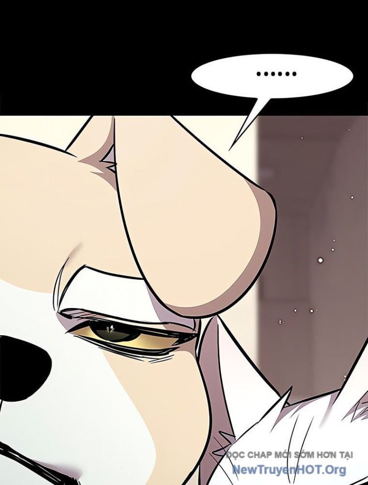 Hóa Thân Thành Mèo Chap 362 - Next Chap 363