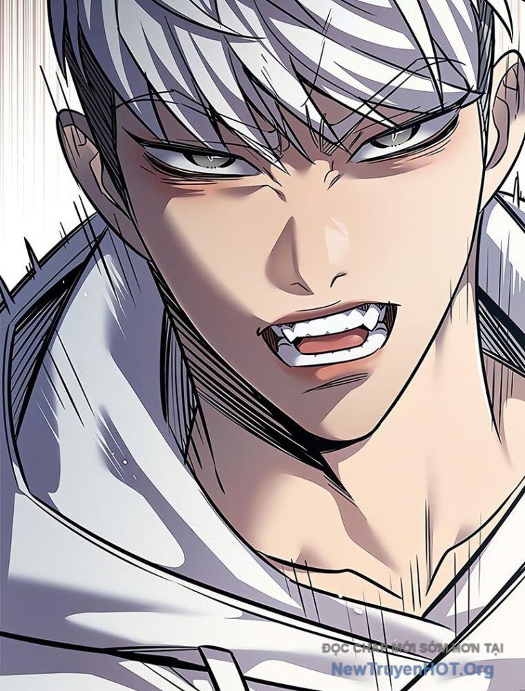 Hóa Thân Thành Mèo Chap 362 - Next Chap 363