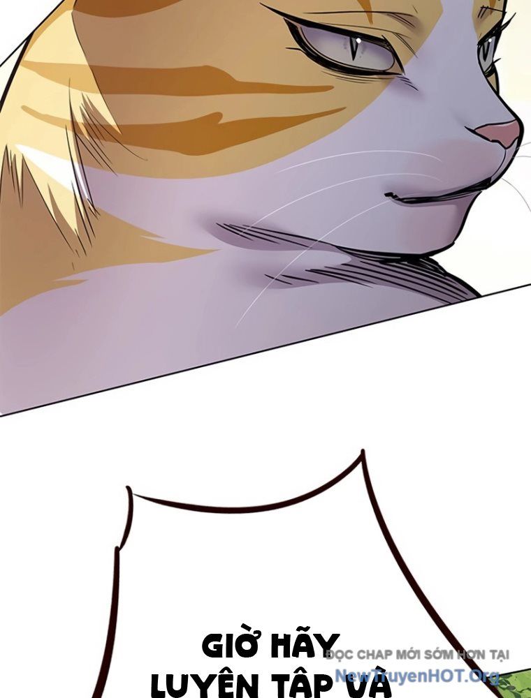 Hóa Thân Thành Mèo Chap 363 - Next Chap 364