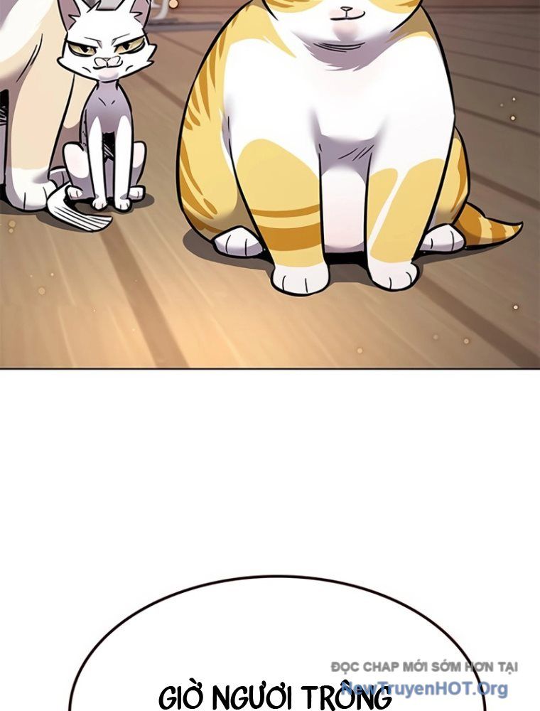 Hóa Thân Thành Mèo Chap 363 - Next Chap 364