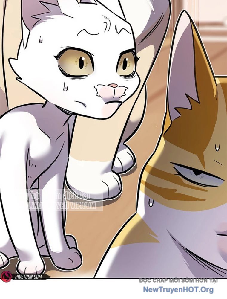 Hóa Thân Thành Mèo Chap 363 - Next Chap 364