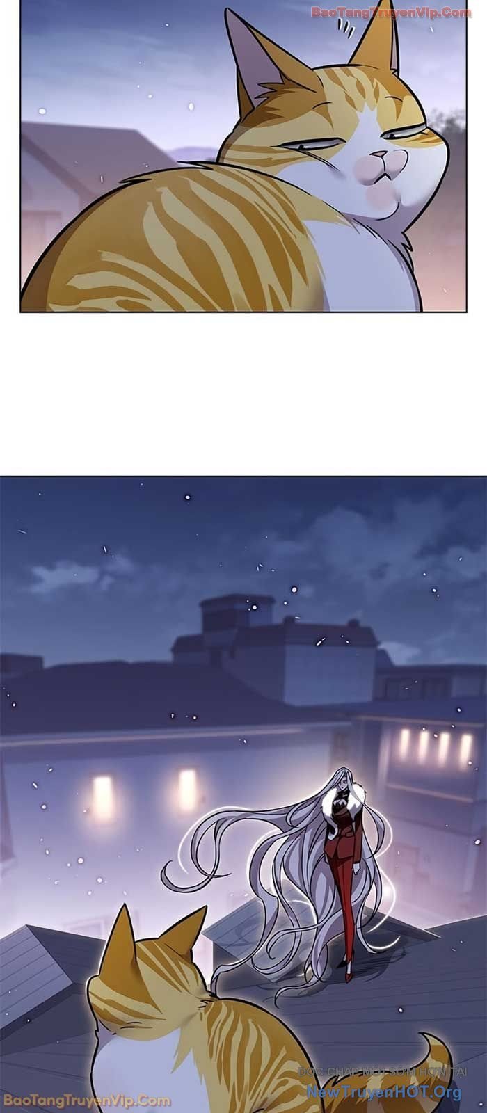 Hóa Thân Thành Mèo Chap 364 - Next Chap 365