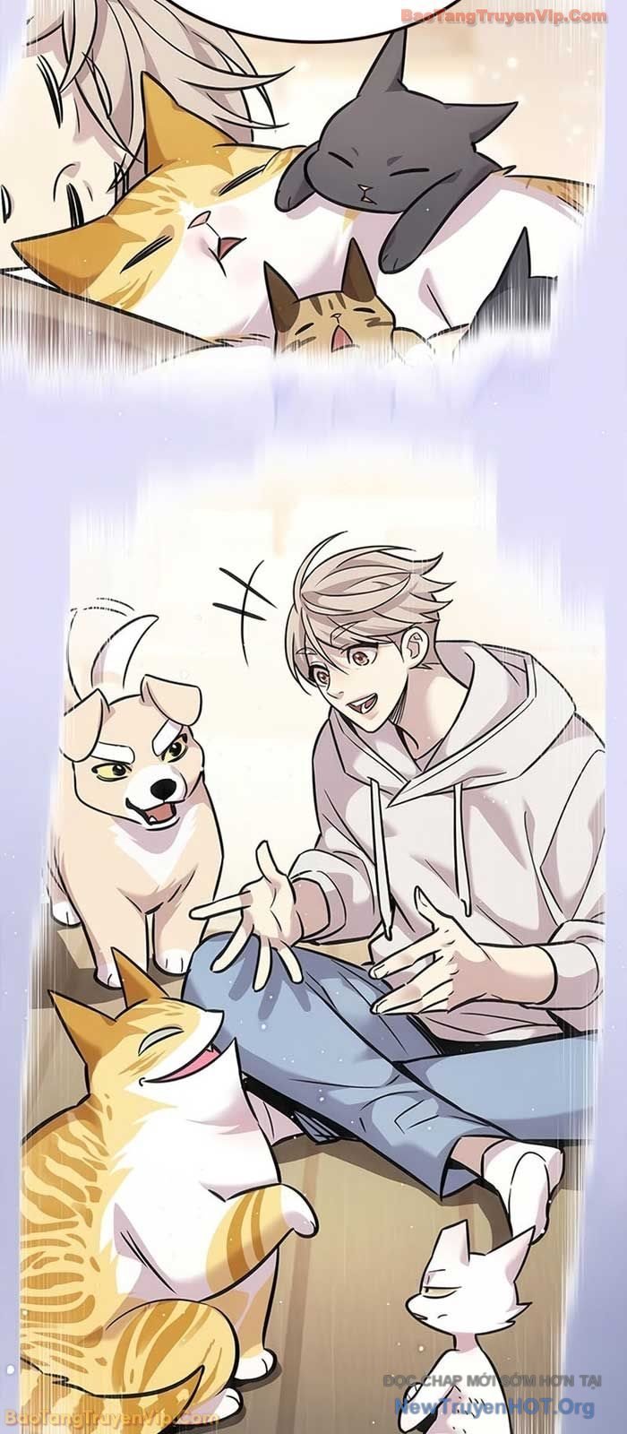 Hóa Thân Thành Mèo Chap 364 - Next Chap 365
