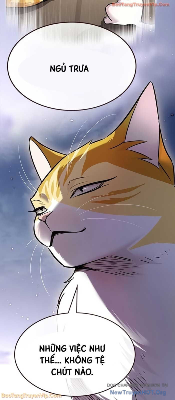 Hóa Thân Thành Mèo Chap 364 - Next Chap 365