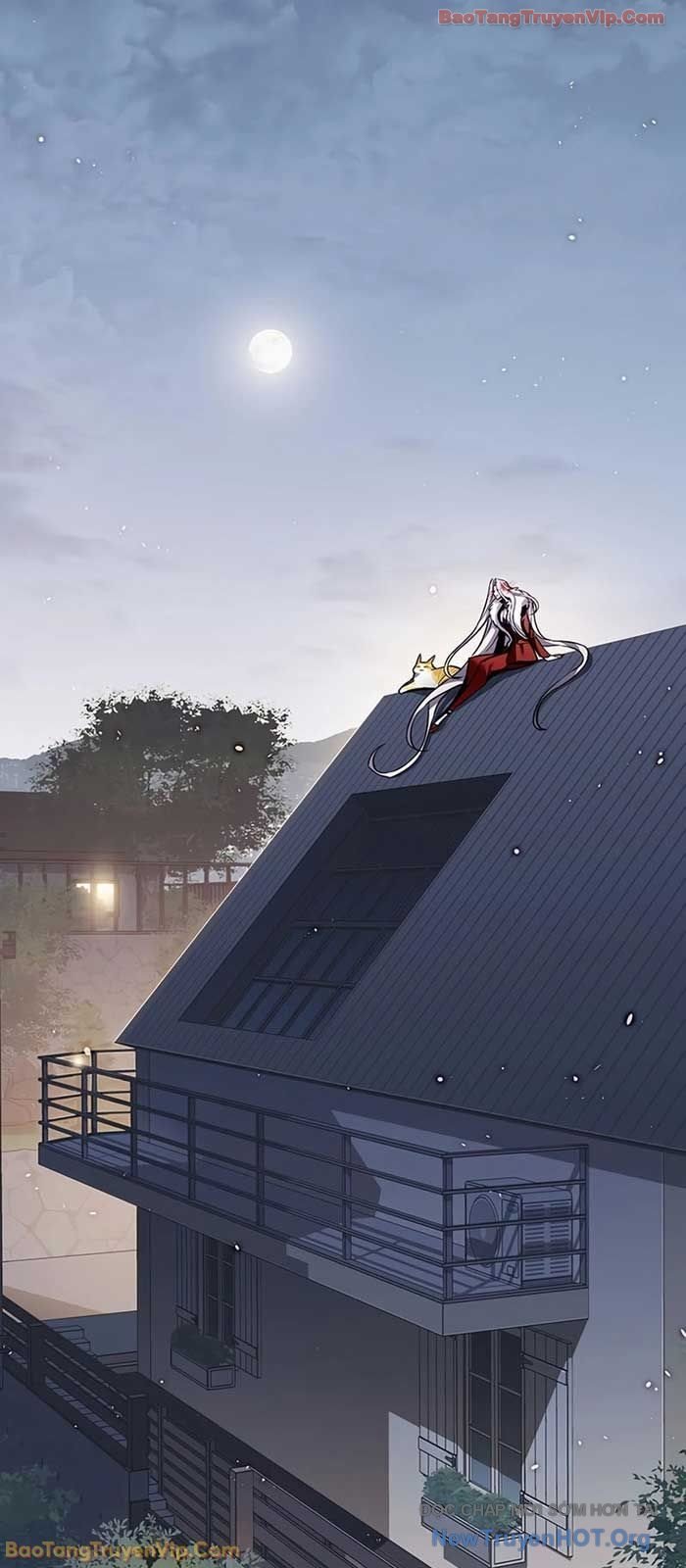 Hóa Thân Thành Mèo Chap 364 - Next Chap 365