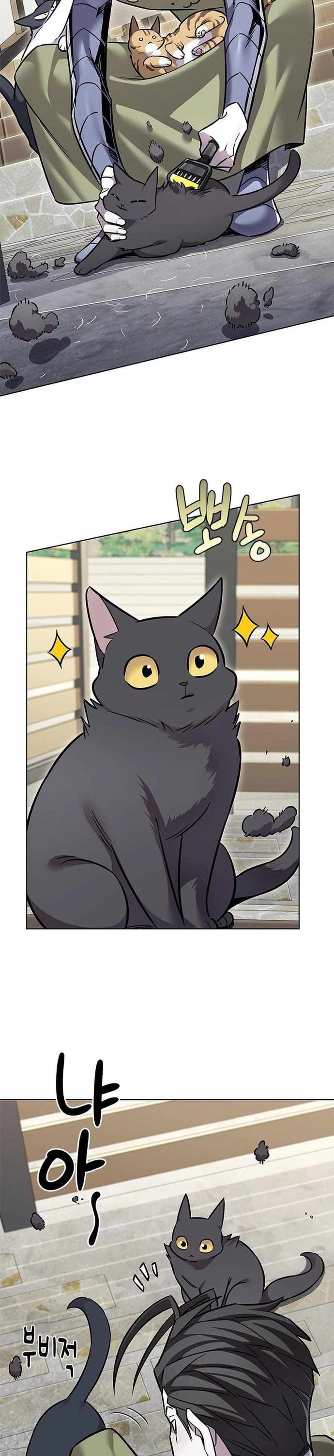 Hóa Thân Thành Mèo Chap 365 - Next Chap 366