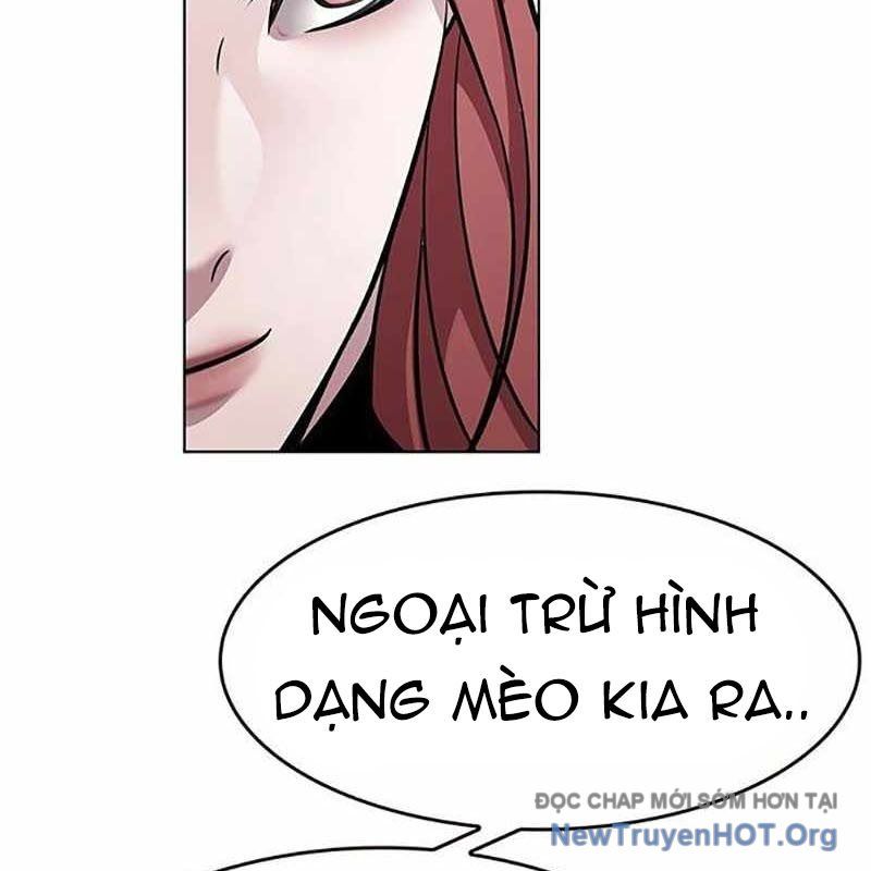 Hóa Thân Thành Mèo Chap 366 - Next Chap 367