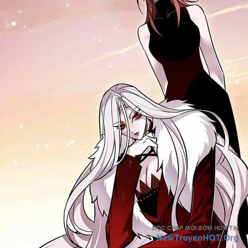 Hóa Thân Thành Mèo Chap 366 - Next Chap 367