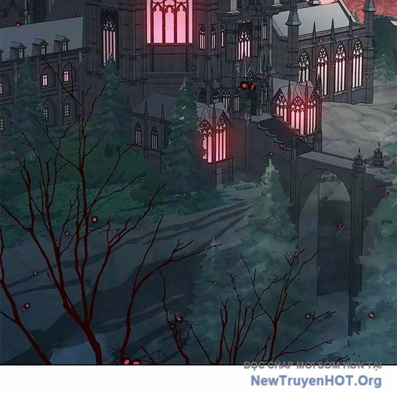 Hóa Thân Thành Mèo Chap 366 - Next Chap 367