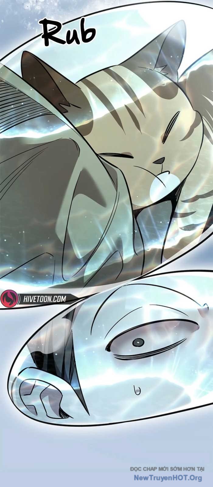 Hóa Thân Thành Mèo Chap 368 - Next Chap 369