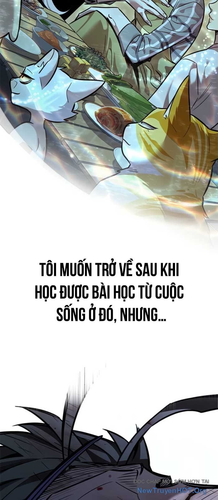 Hóa Thân Thành Mèo Chap 368 - Next Chap 369