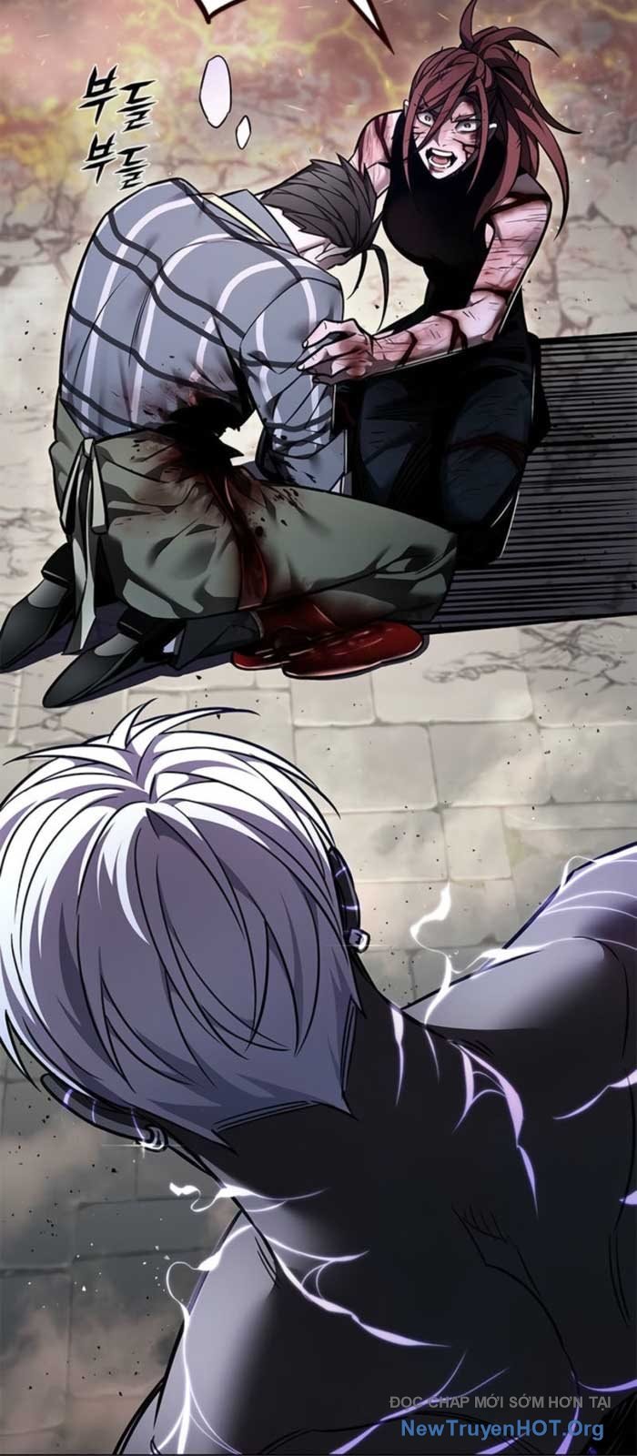 Hóa Thân Thành Mèo Chap 368 - Next Chap 369