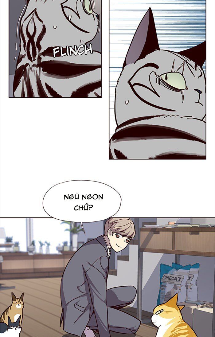 Hóa Thân Thành Mèo Chap 37 - Next Chap 38