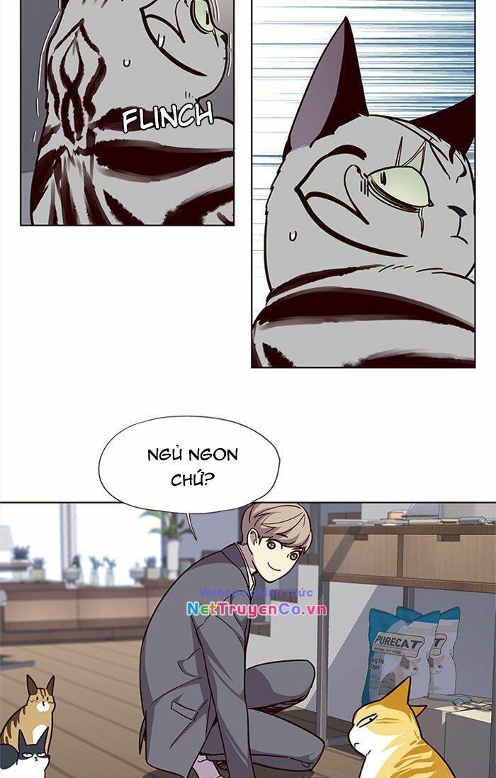 Hóa Thân Thành Mèo Chap 37 - Next Chap 38