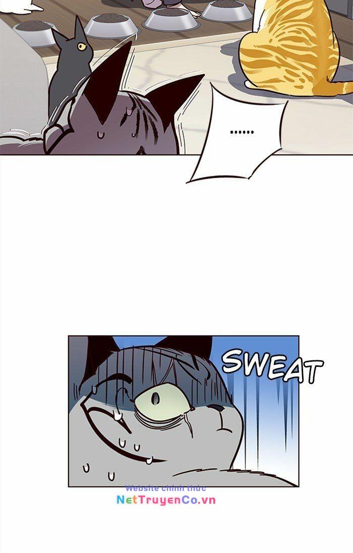 Hóa Thân Thành Mèo Chap 37 - Next Chap 38