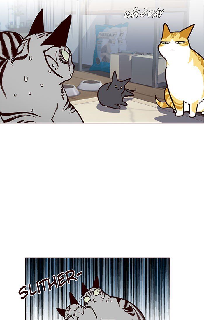 Hóa Thân Thành Mèo Chap 37 - Next Chap 38