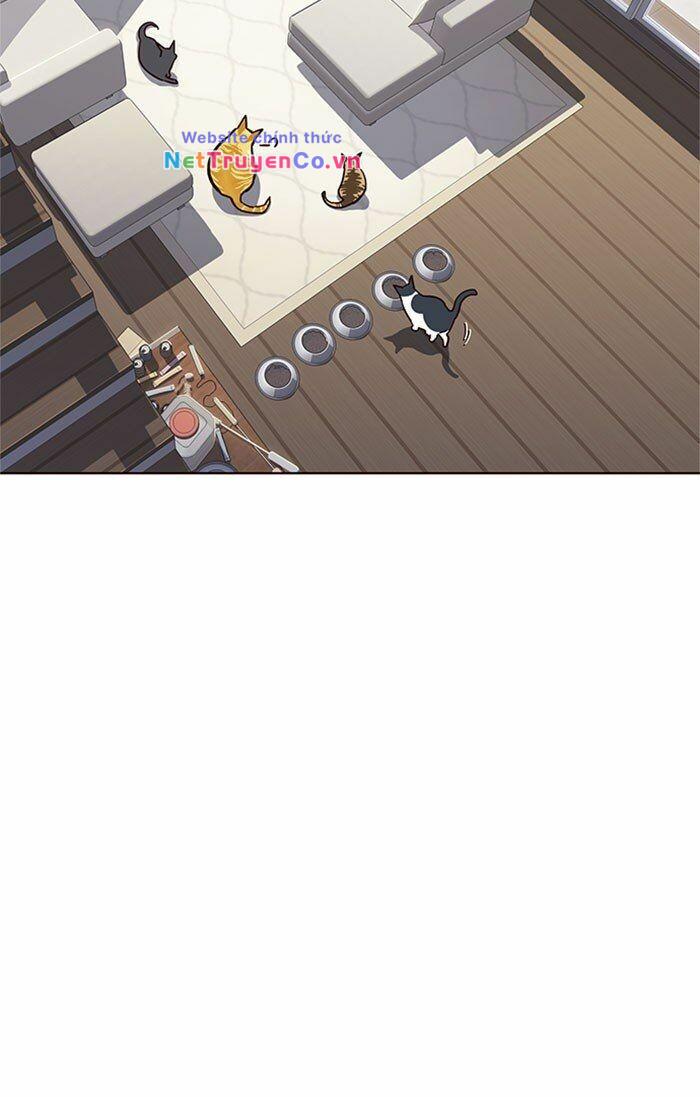 Hóa Thân Thành Mèo Chap 37 - Next Chap 38
