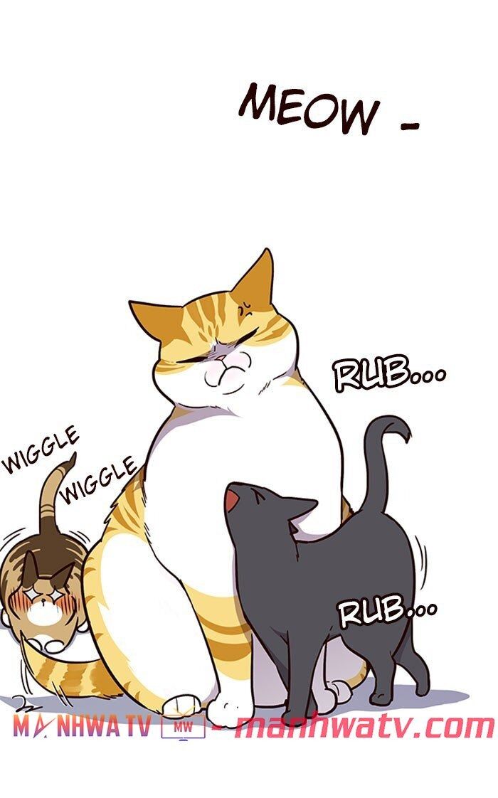 Hóa Thân Thành Mèo Chap 37 - Next Chap 38