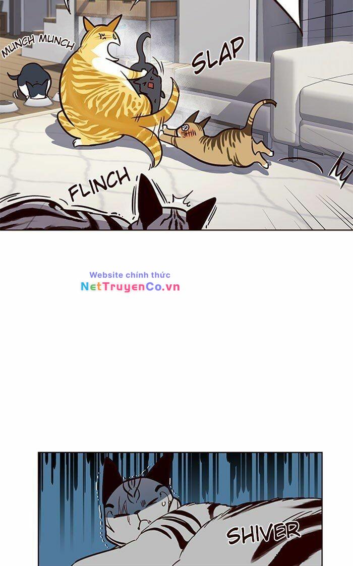 Hóa Thân Thành Mèo Chap 37 - Next Chap 38