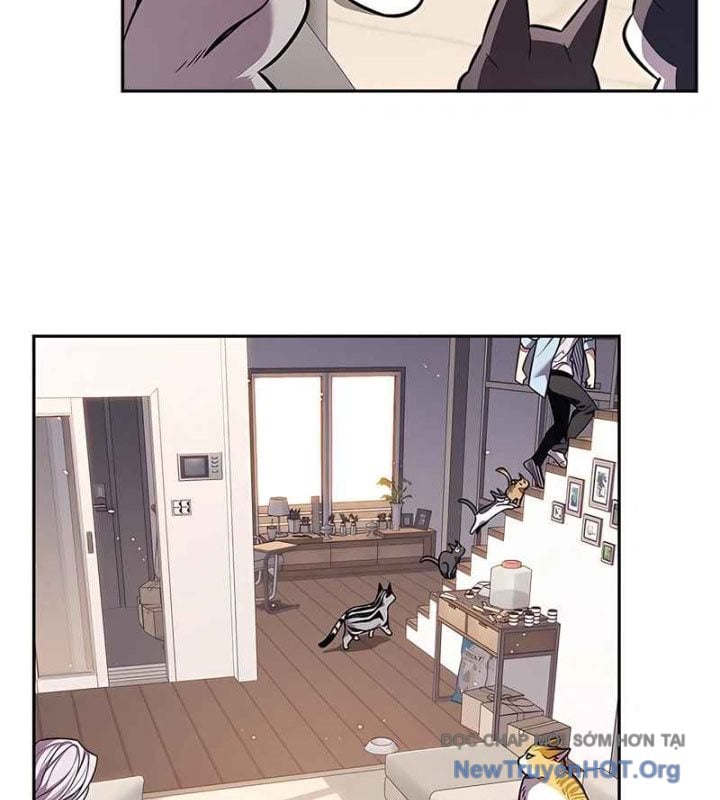 Hóa Thân Thành Mèo Chap 370 - Next Chap 371