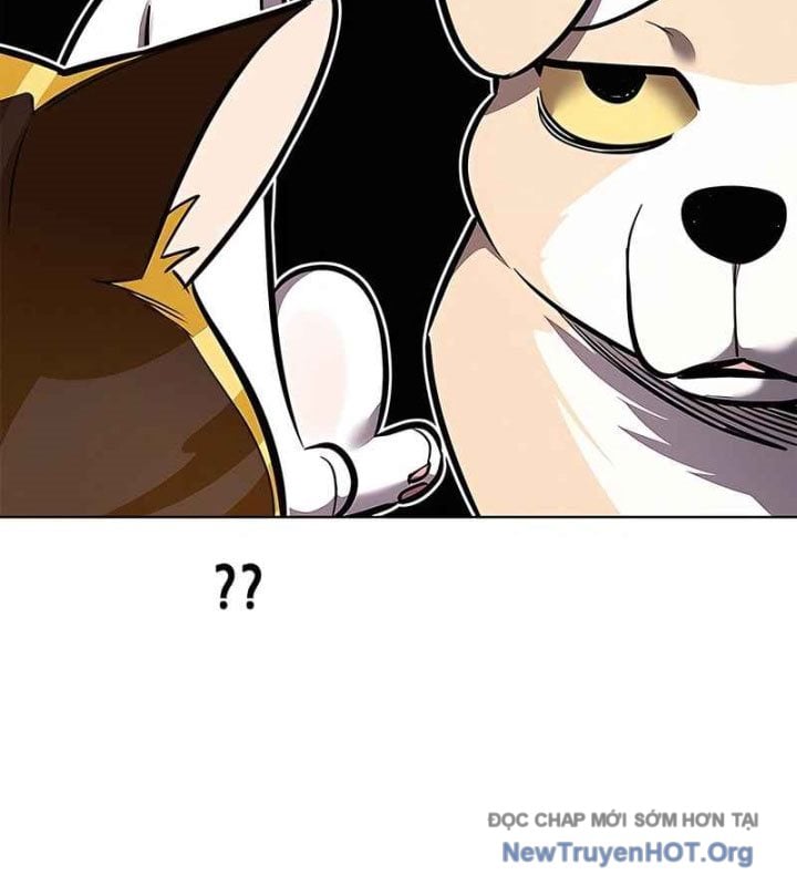 Hóa Thân Thành Mèo Chap 370 - Next Chap 371