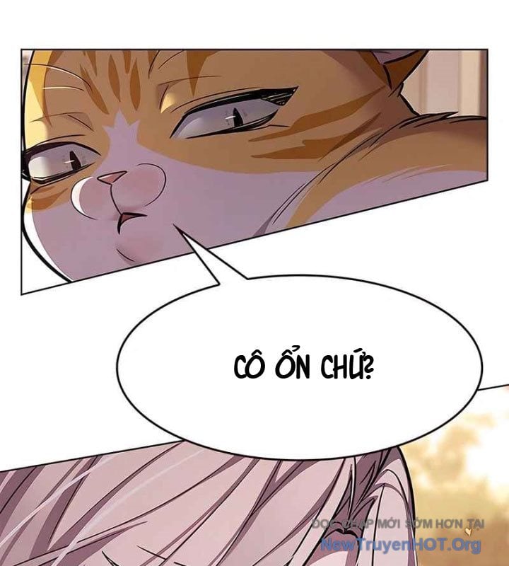 Hóa Thân Thành Mèo Chap 370 - Next Chap 371
