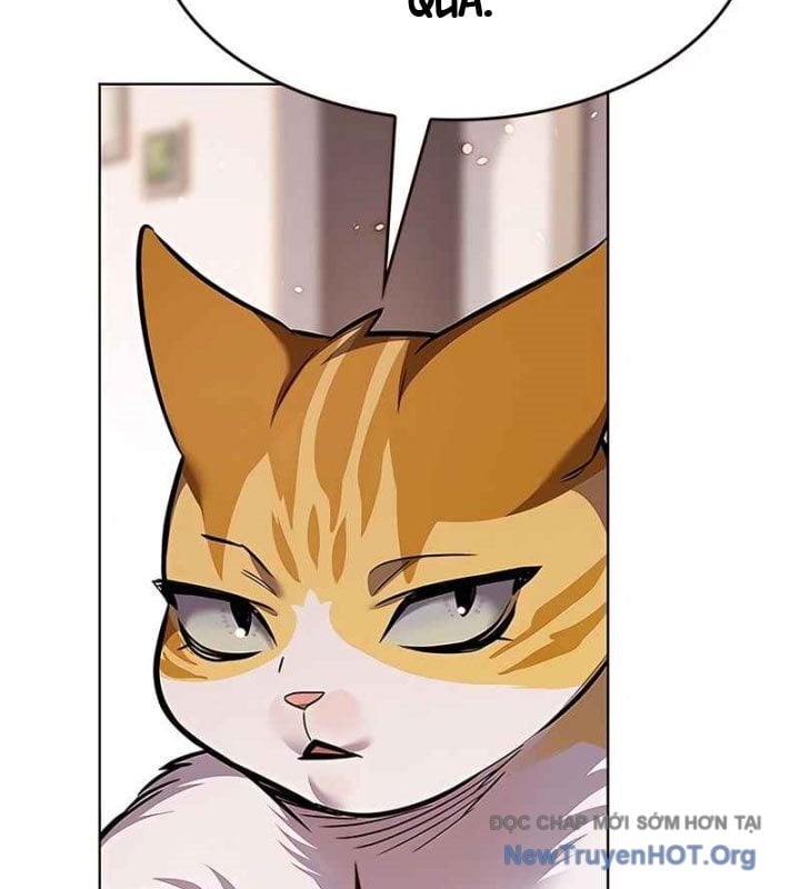 Hóa Thân Thành Mèo Chap 370 - Next Chap 371