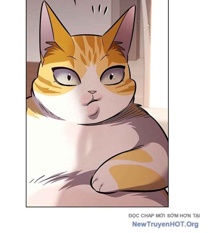 Hóa Thân Thành Mèo Chap 370 - Next Chap 371