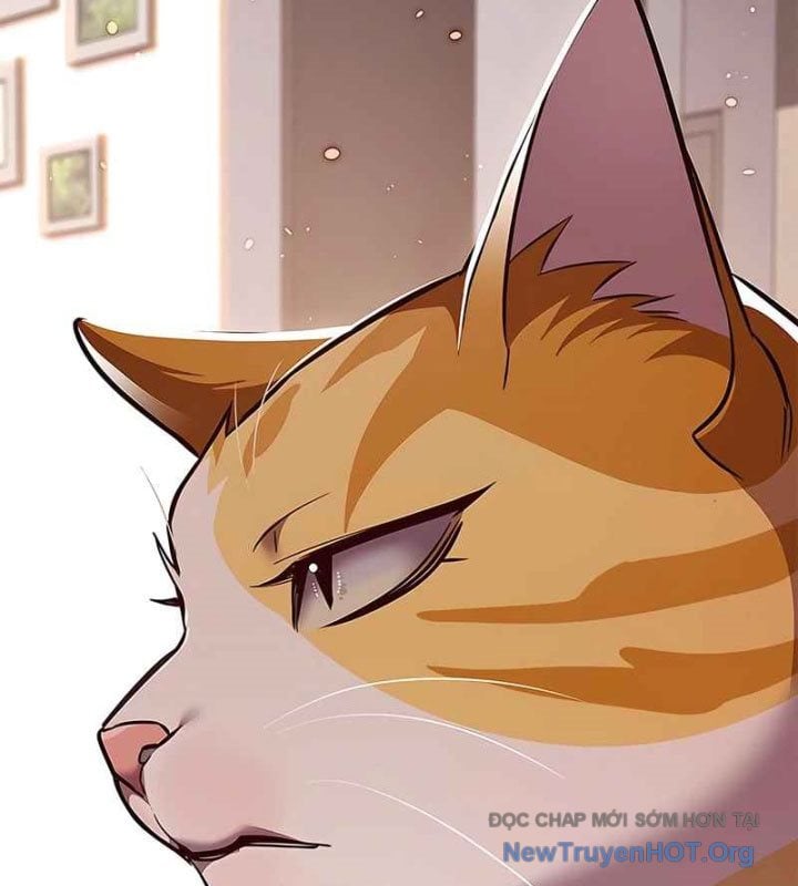 Hóa Thân Thành Mèo Chap 370 - Next Chap 371