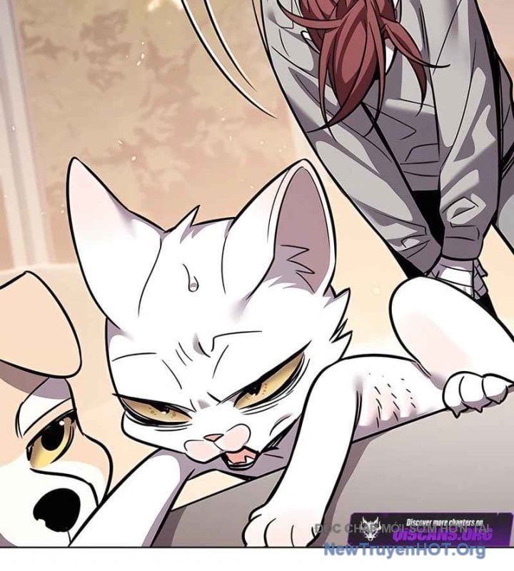 Hóa Thân Thành Mèo Chap 370 - Next Chap 371