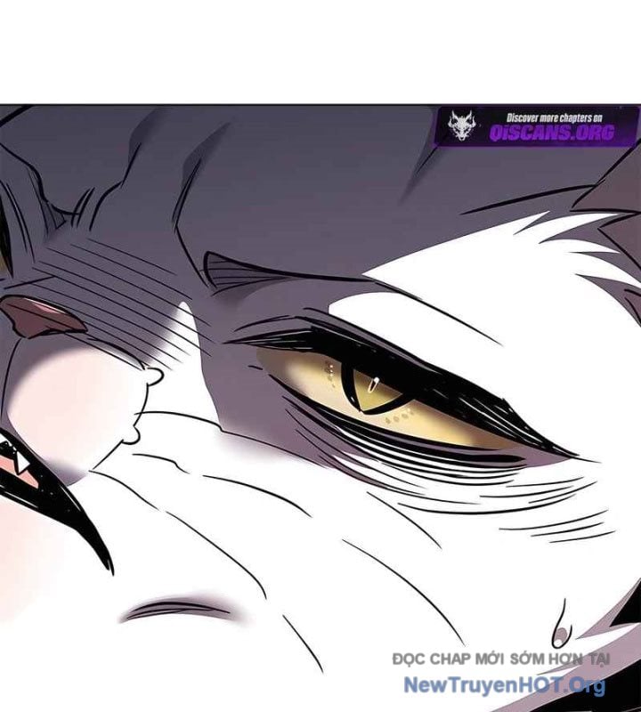 Hóa Thân Thành Mèo Chap 370 - Next Chap 371