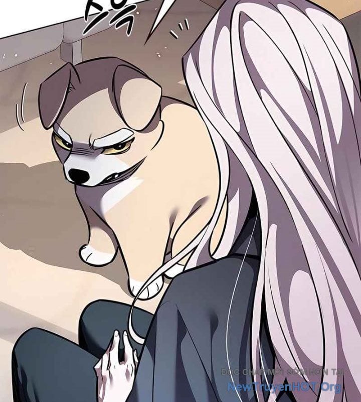 Hóa Thân Thành Mèo Chap 370 - Next Chap 371