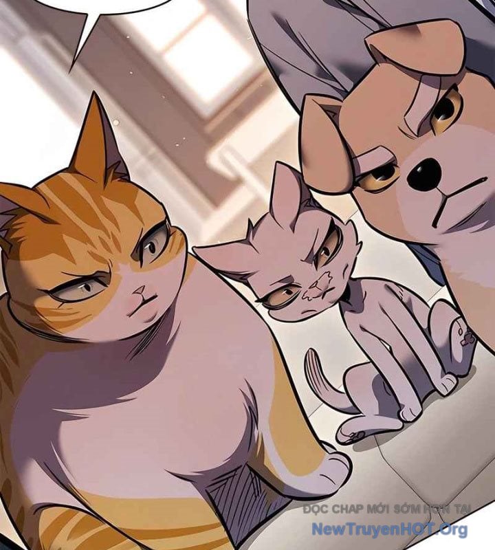 Hóa Thân Thành Mèo Chap 370 - Next Chap 371