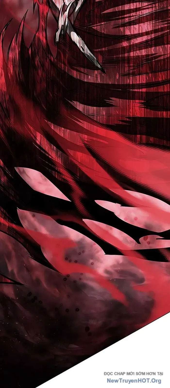 Hóa Thân Thành Mèo Chap 374 - Next Chap 375