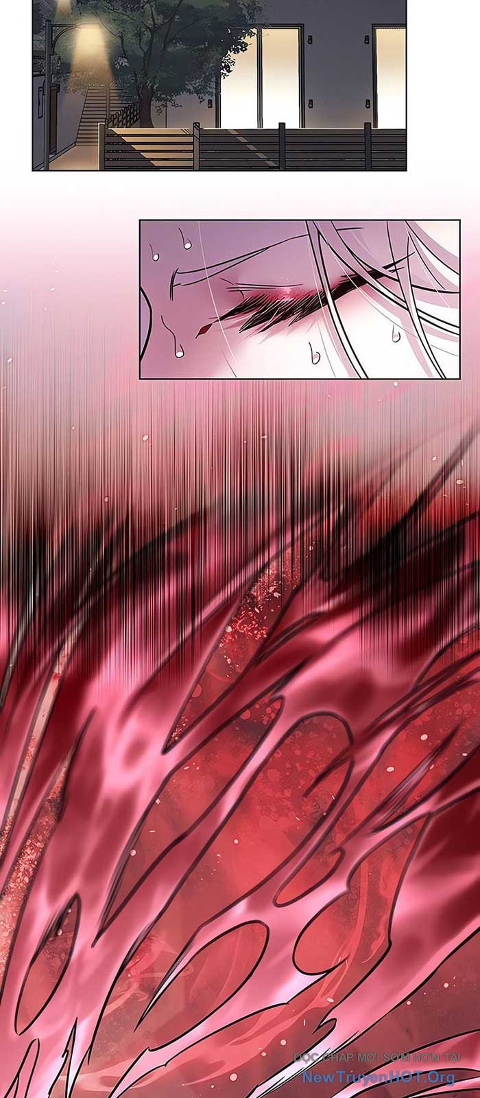 Hóa Thân Thành Mèo Chap 375 - Next Chap 376