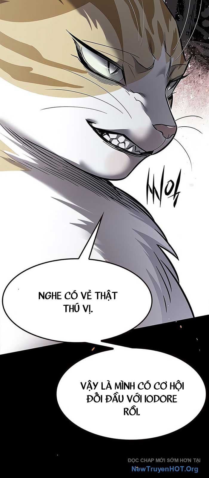 Hóa Thân Thành Mèo Chap 375 - Next Chap 376