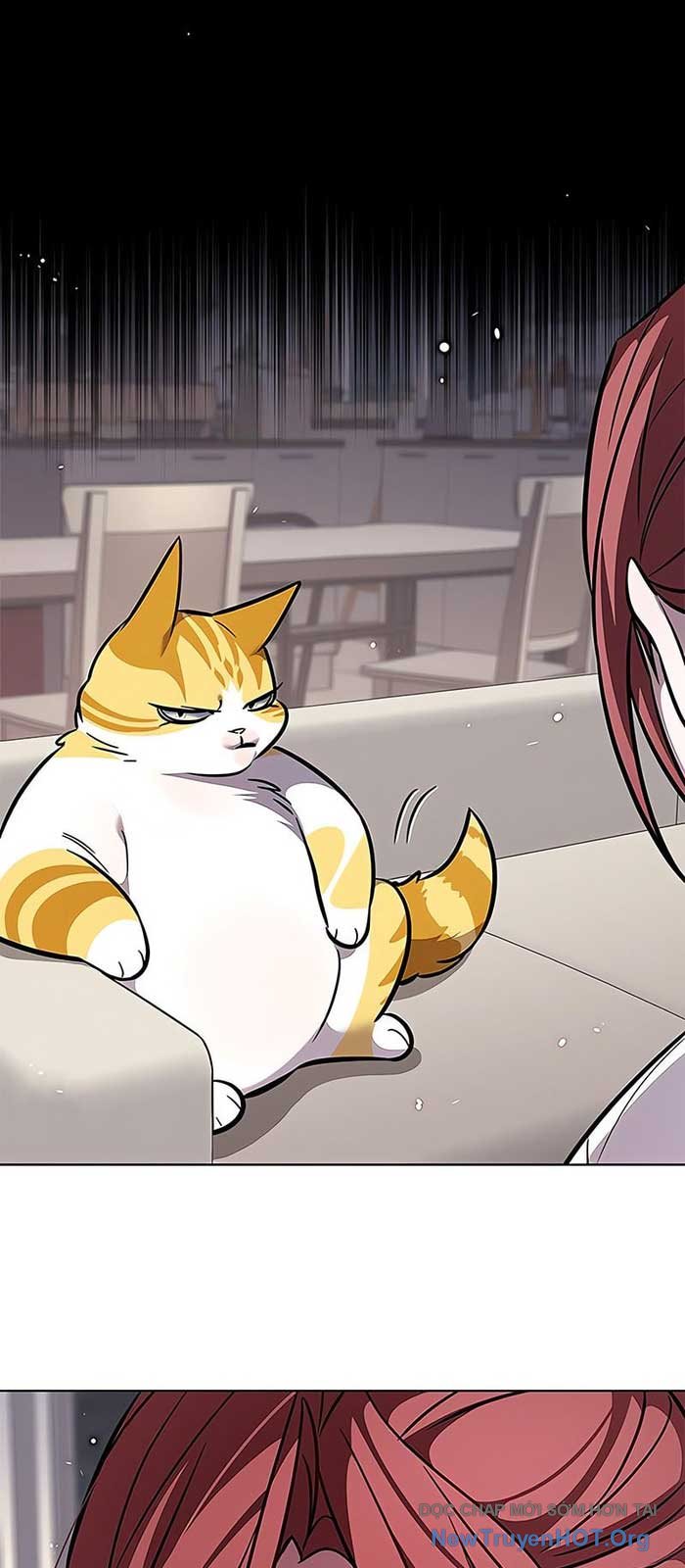 Hóa Thân Thành Mèo Chap 375 - Next Chap 376